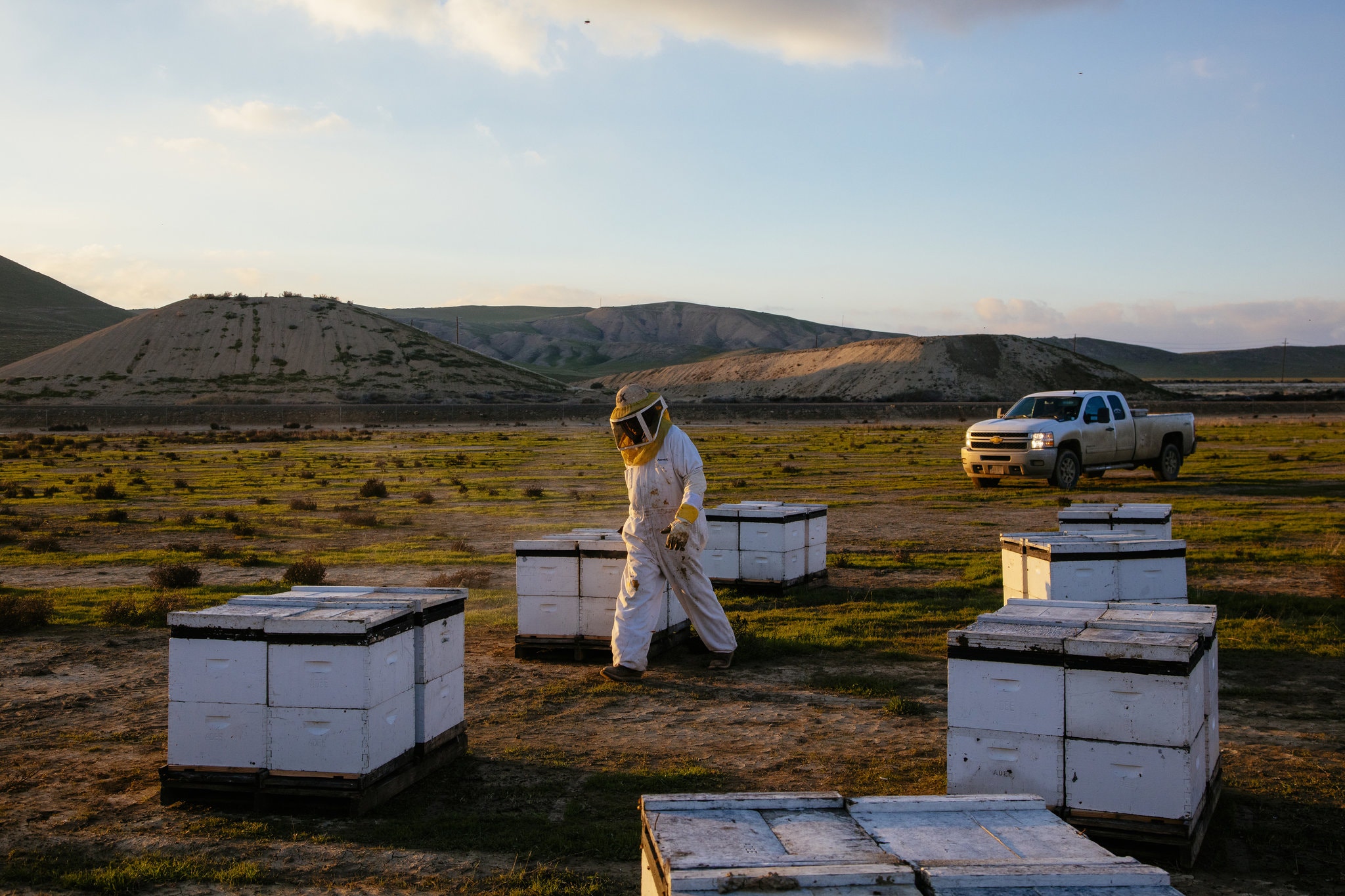 Beekeepers