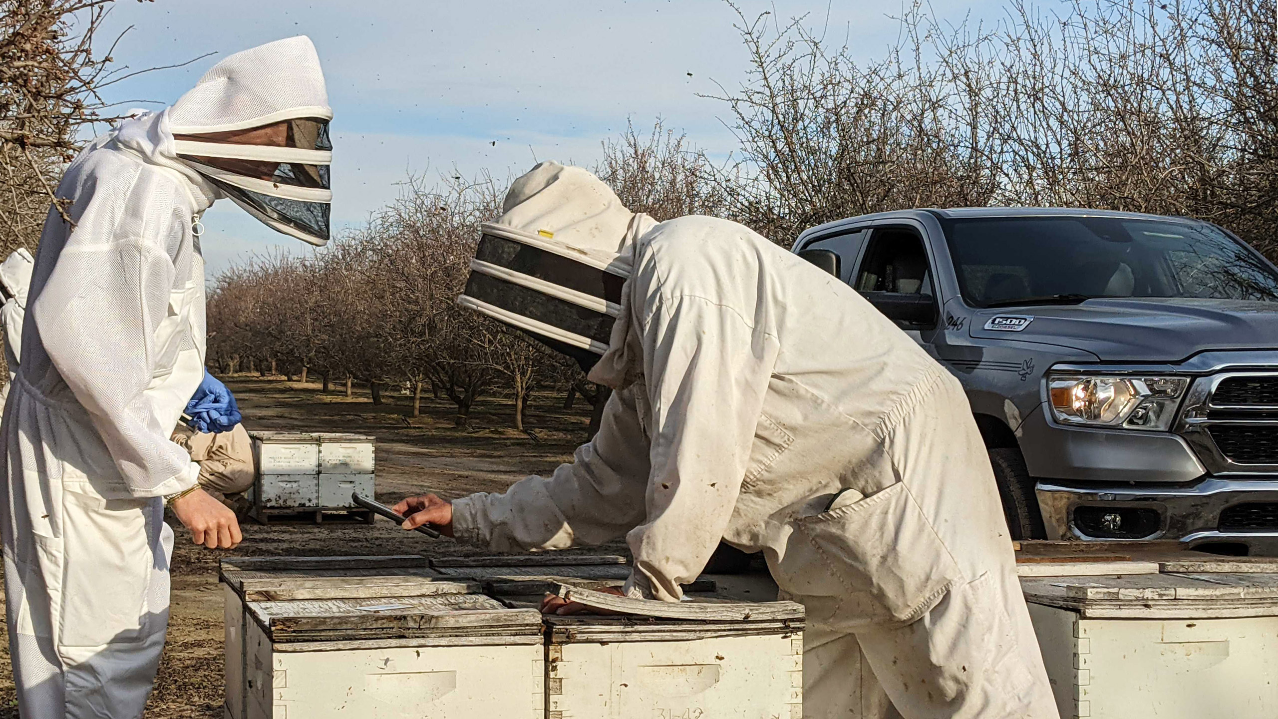 Field workers scanning the BeeTag on top of their hives to identify the GPS location.